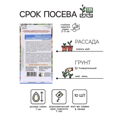 Семена Огурец "Запасливый прапорщик - корнишон", 10 шт