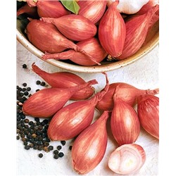 Лук семейный (шалот) Макарьевский, арт.: 4523