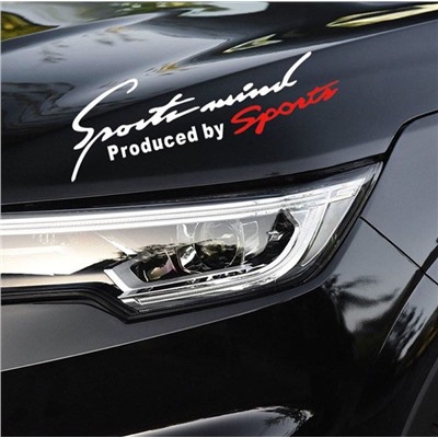 Наклейка автомобильная "Sport" 19*7 см