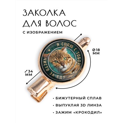 HZF-0357 Заколка Я сплю с тобой за еду