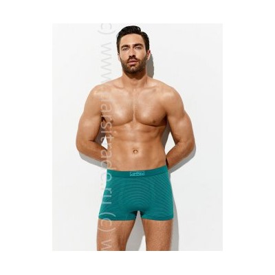 Трусы мужские OmU 2221S Stripes Omsa Дроп боксеры