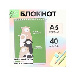 Блокнот А5, 40 листов в клетку на гребне "Фразы", обложка мелованный картон, матовая ламинация, выборочный УФ-лак, блок офсет
