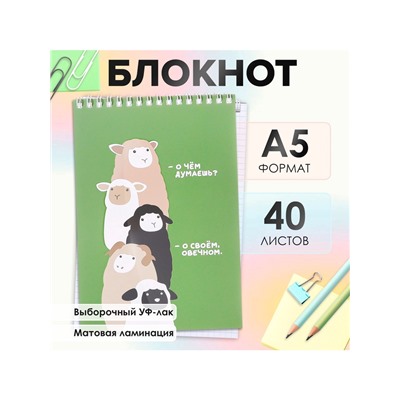 Блокнот А5, 40 листов в клетку на гребне "Фразы", обложка мелованный картон, матовая ламинация, выборочный УФ-лак, блок офсет