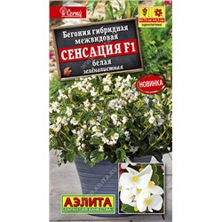 1167 Бегония Сенсация F1 белая зеленолистная 7шт