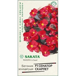 Семена Бегония Сенатор Скарлет F1, арт.: 11794
