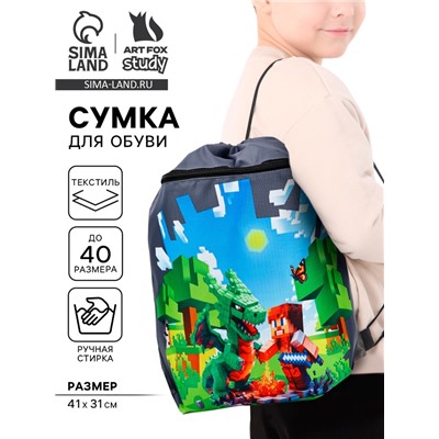 Мешок для обуви «Гейм», 2 секции, 41×31 см