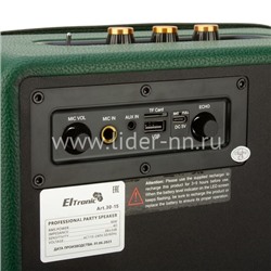 Колонка  ELTRONIC MONSTER BOX  850 (30-15) TWS (зеленый)