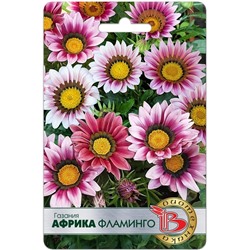 Газания Африка Фламинго