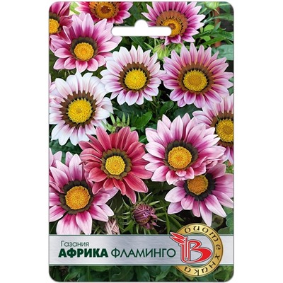 Газания Африка Фламинго