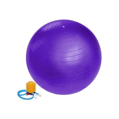 267-620/3 Фитбол Sportage 65 см 800гр с насосом, фиолетовый
