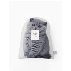 Подушка «Этель» Fluffy kitten, 40×33 см, 100% п/э, велюр