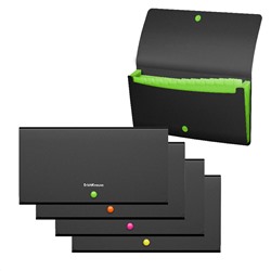 Папка-картотека на кнопке 12отд Check size пластик ErichKrause® Matt Accent ассорти 50426/4/Россия Подробнее