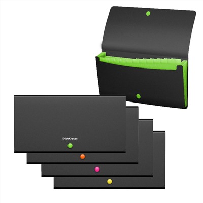 Папка-картотека на кнопке 12отд Check size пластик ErichKrause® Matt Accent ассорти 50426/4/Россия Подробнее