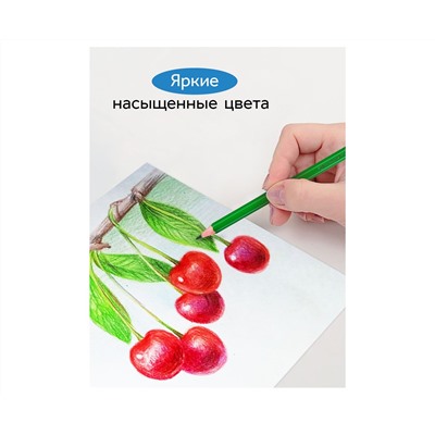 Карандаши цветные Гамма "Классические", 24цв., заточен., картон. упаковка, европодвес