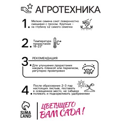 Семена Гелиопсис подсолнечниковый "Слушая космос", ц/п,  0,1 г