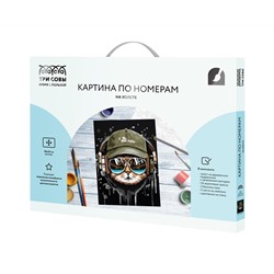 Картина по номерам на холсте ТРИ СОВЫ "Кот меломан", 30*40, с акриловыми красками и кистями
