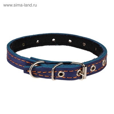 Ошейник кожаный на синтепоне, безразмерный, 37×1.5 см, ОШ 21-31 см, синий