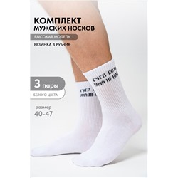 Носки мужские Гугл (набор 3 пары)