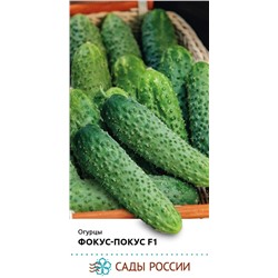 Семена Огурец Фокус-покус F1, арт.: 74357