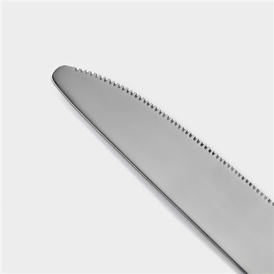 Столовые приборы «Стандарт», картонная коробка, толщина 2 мм, 36 предметов, нержавеющая сталь, серебристые