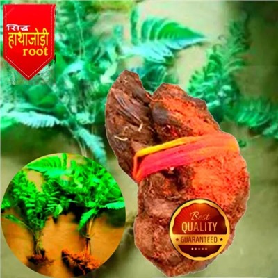 Оригинальная и натуральная Хатха Джоди, Original and Natural Hatha Jodi (Energized), PalmistryTalk