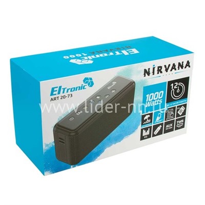 Колонка  ELTRONIC NIRVANA (20-73) TWS