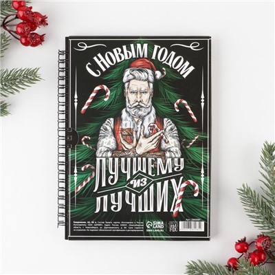 Ежедневник А5, 60 листов, недатированный, в подарочной коробке «Новый год: Хозяину жизни»
