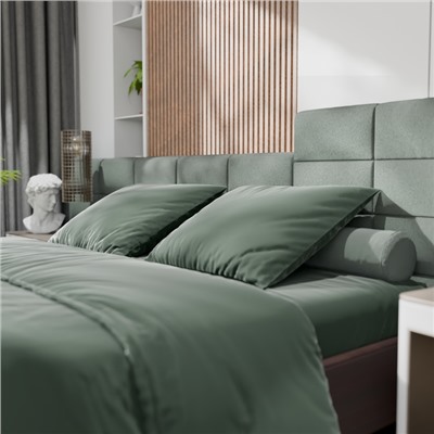 Постельное бельё Этель 1,5сп Tencel 155*210см, 160*245см, 50*70см-2шт, цвет оливковый