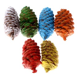 Новогодний декор «Цветные шишки» 6 шт., МИКС