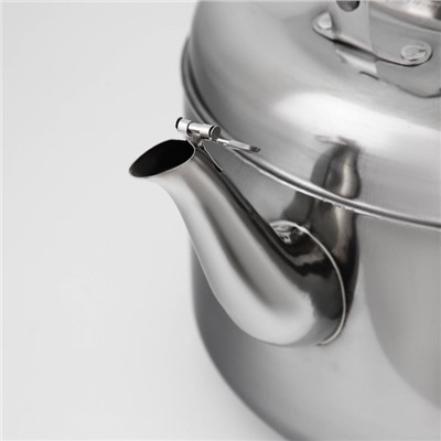 Чайник, 6 л, нержавеющая сталь