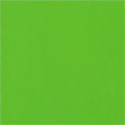Фоамиран 0.8-1 мм светло-зеленый 60×70 см