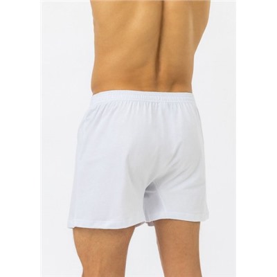 Трусы боксеры, Pantelemone, PMB-039 оптом