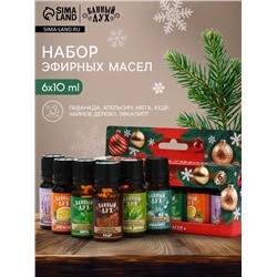Эфирное масло, набор 6 шт. × 10 мл, Банный дух