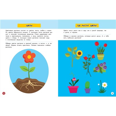 Эдже Эмине Чакуди. Изучаю мир вокруг: для детей от 5 лет