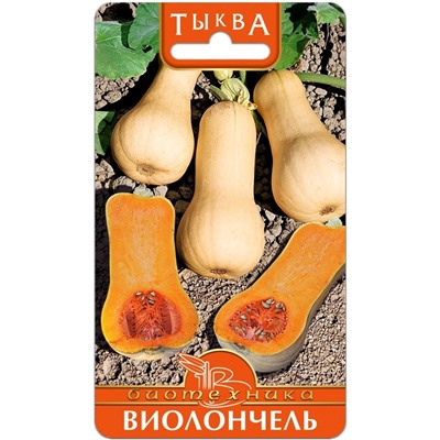 Тыква Виолончель