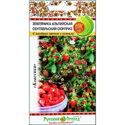 Семена Земляника (клубника) альпийская Сентябрьский сюрприз, арт.: 8412