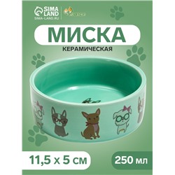 Миска керамическая "Важный пес" 250мл, 11,5 х 5 см, мятная