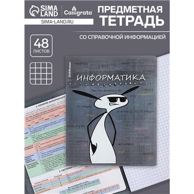Тетрадь предметная 48 листов в клетку ErichKrause «Чубрик.Информатика», пластиковая обложка