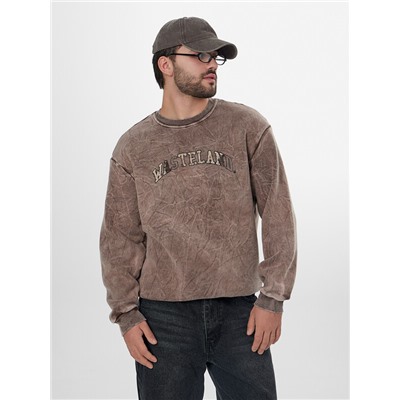 СВИТШОТ МУЖСКОЙ 121801/1