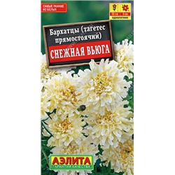 1152 Бархатцы Снежная вьюга 10шт