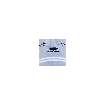 Носки женские 20С1430 385 Брестские Arctic Conte [6шт] Дроп