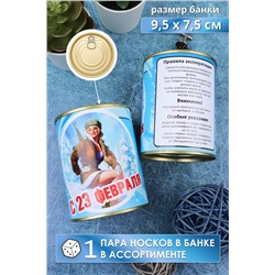 Носки мужские в банке GL736