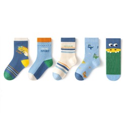 Носки (упаковка, 5 шт.)