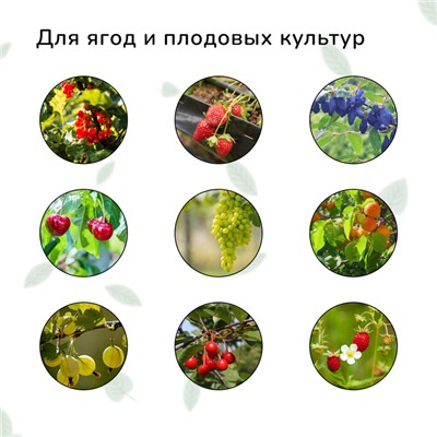 Сетка садовая, мягкая, 10 × 2 м, ячейка 8 × 8 мм, от птиц , Greengo