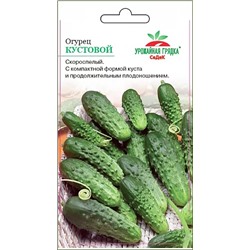 Семена Огурец Кустовой, арт.: 13427