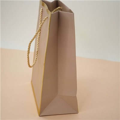 Пакет подарочный (S) «Classic line», light pink (24.5*19.5*9.5)