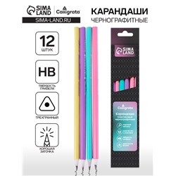 Набор карандашей чернографитных 12 штук, Calligrata Pastel, заточенный, пластик, трехгранный, МИКС