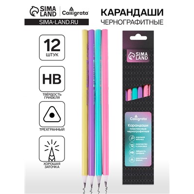 Набор карандашей чернографитных 12 штук, Calligrata Pastel, заточенный, пластик, трехгранный, МИКС