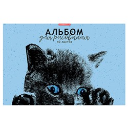Альбом для рисования 40л А4 "Котенок"