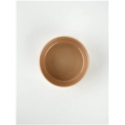 Ланч - бокс новогодний «Сияй в новом году», 500 мл